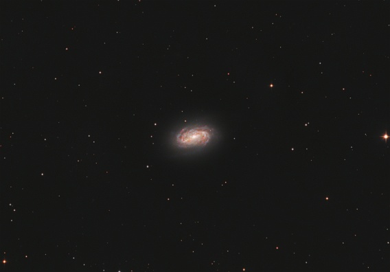 NGC2903  (8x 300s RGB)