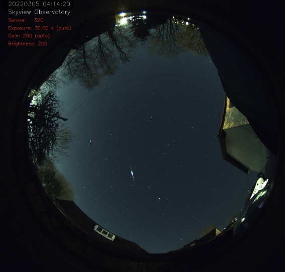 AllSky camera image - Satellite flare