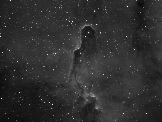 IC1396 - Elephants Trunk Nebula