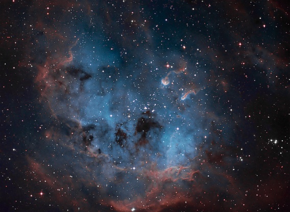 IC410 - The Tadpole Nebula