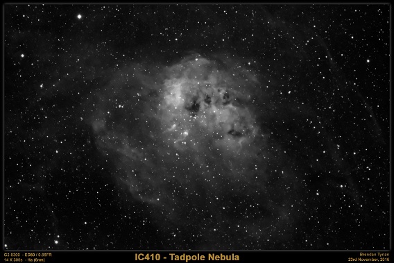 IC410 - The Tadpole Nebula
