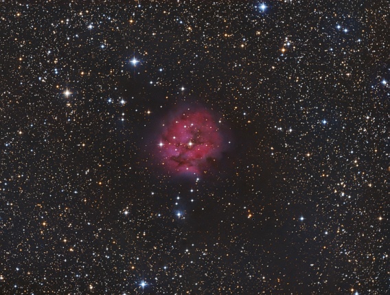 IC5146 - Rosette Nebula