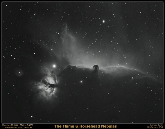 Flame and Horsehead Nebula