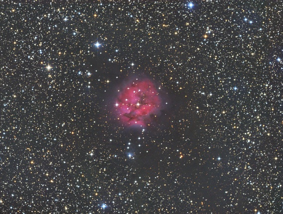 IC5146 - Rosette Nebula