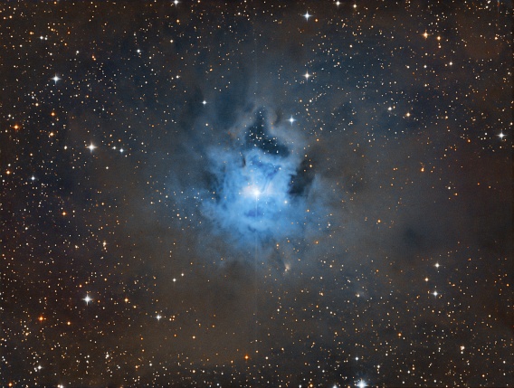 NGC7023 - The Iris Nebula