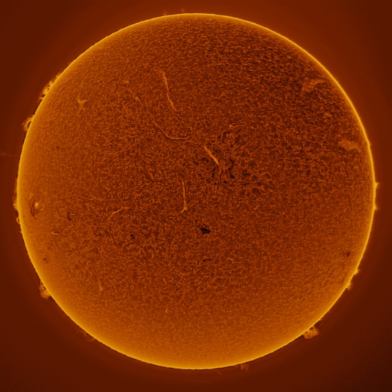 Sun 04-04-2024 Ha Solar Activity (Ha) - 4th April, 2024