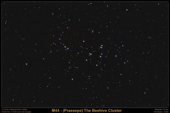 Messier 44 - The Beehive Cluster
