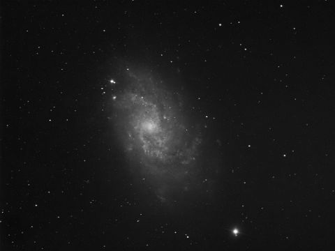 M33_1x600s_R M33 - The Triangulum Galaxy (1x 600s - Red Filter)