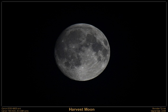 Harvest Moon Harvest Moon