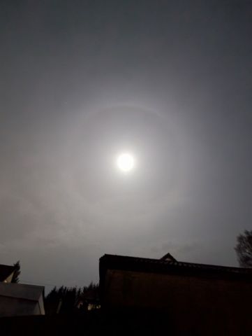 PXL_20251203_220544765.NIGHT 3rd December 2025 - Moon Halo