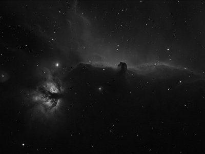 The Horsehead and Flame Nebula : Nebula