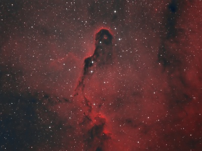 IC1396 - Elephants Trunk Nebula : Nebula