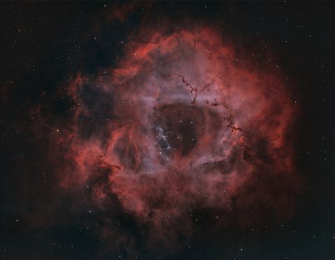 Image37 NGC2244 - The Rosette Nebula (8x 600s - Ha/OIII)