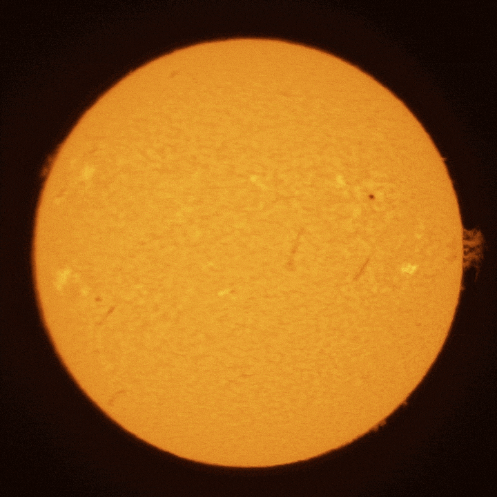 21st May 2025 - Bird Fly-thro 21st May, 2025 - Bird flying across the Sun