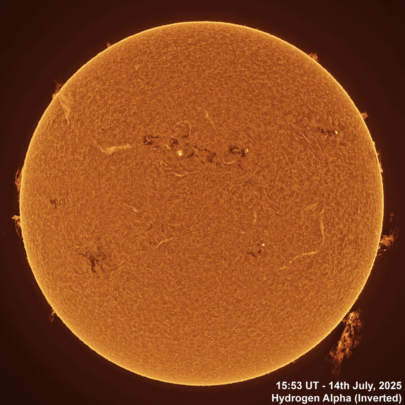 BT_20250714_1553UT Ha Inverted Plasma Eruption - 14th July, 2025