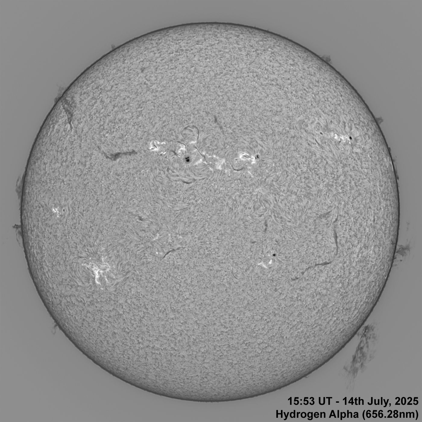 BT_20250714_1553UT Ha Normal Plasma Eruption - 14th July, 2025