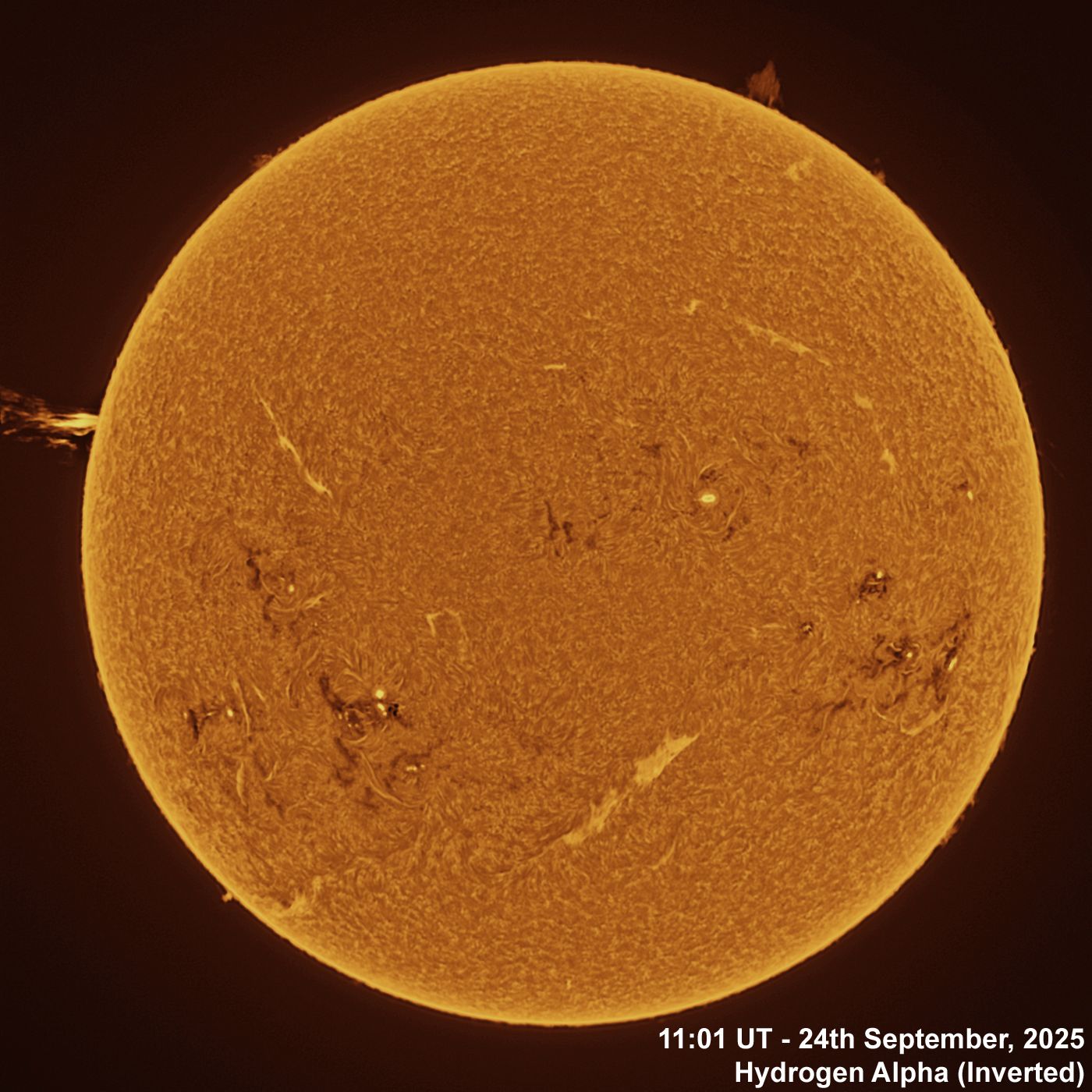 BT_20250924_1101UT Ha Inverted 24th September, 2025 - Sun in Ha