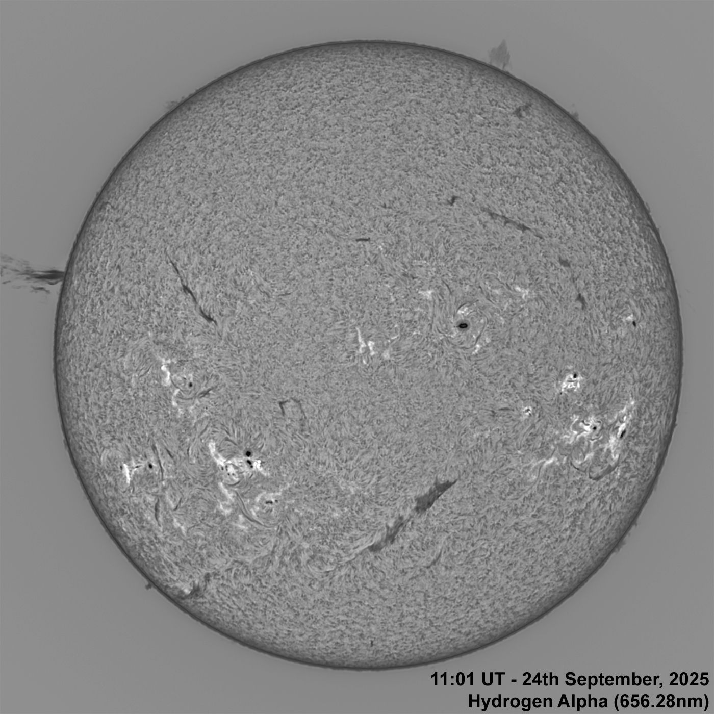 BT_20250924_1101UT Ha Normal 24th September, 2025 - Sun in Ha