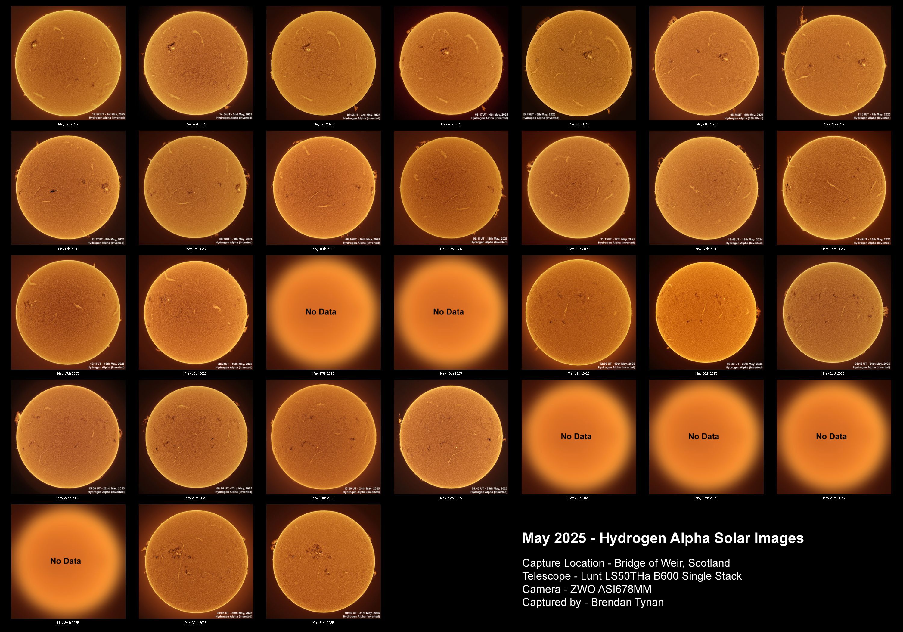 May 2025 - Daily Solar Images Solar Images in Ha - May 2025
