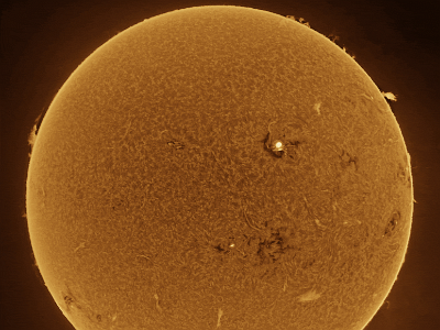 Solar animation, Ha, 16th August, 2024 : Solar