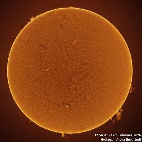 20260217_1254UT_Sun_Ha 17th February, 2026 - Sun in Ha