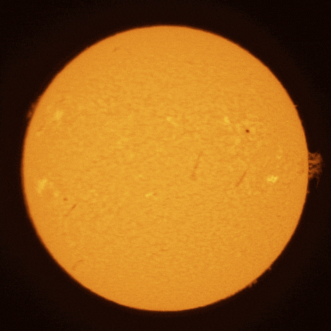 21st May 2025 - Bird Fly-thro 21st May, 2025 - Bird flying across the Sun