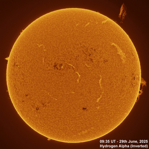 29th June 2025 Animation 29th June, 2025 - Sun in Ha CaK & G-Band