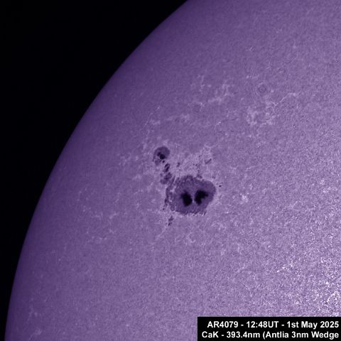 AR4079 - 20250501_1248UT CaK Colour AR4079 - 1st May, 2025