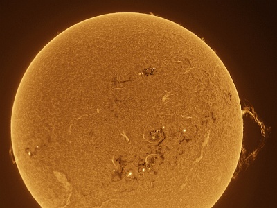 The Sun in Ha - 29th October, 2024 : Solar