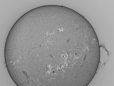 The Sun in Ha - 29th October, 2024 : Solar