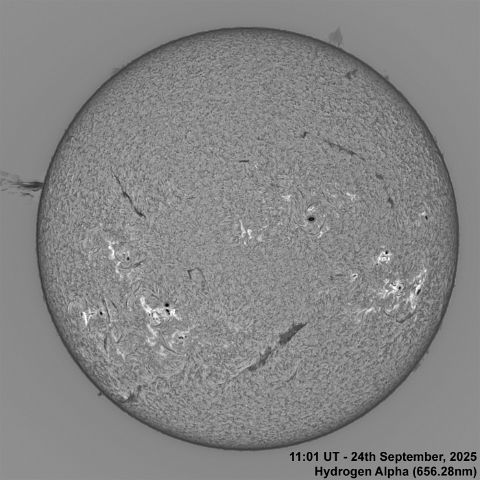 BT_20250924_1101UT Ha Normal 24th September, 2025 - Sun in Ha