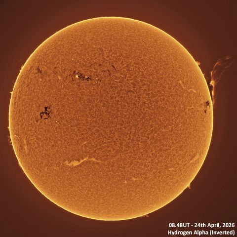 BT_20260424-0848UT Ha (Inverted) 24th April, 2026 - Sun in Ha